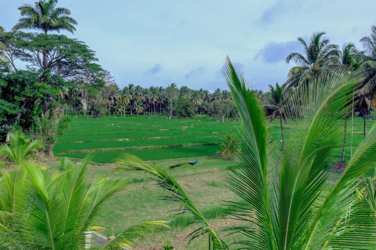 Brindavan Garden Resort & Spa Krishnarajasagara Екстериор снимка